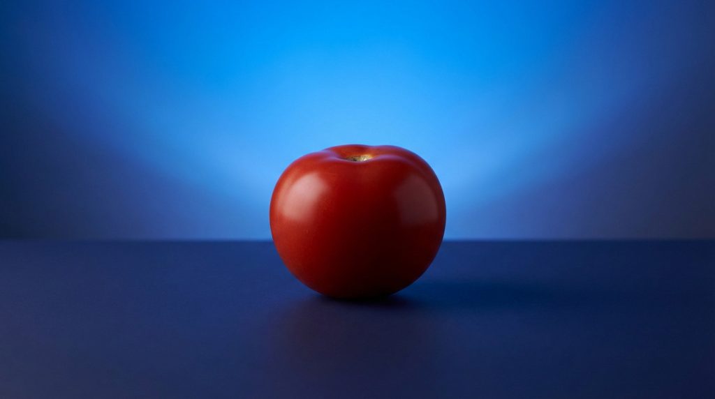 Tomate, fruit botanique et légume culinaire, avec graines visibles à l'intérieur